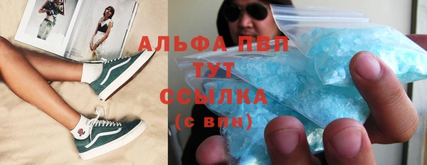 a pvp Белокуриха