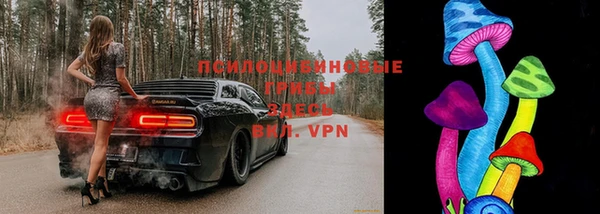 таблы Беломорск