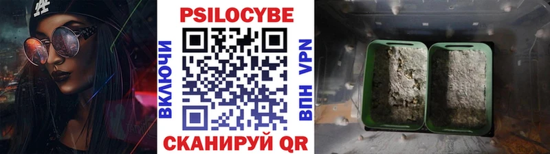 Галлюциногенные грибы мицелий  Купить где  Мелеуз 